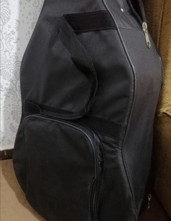 هارد کیس گیتار